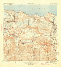 1940s Maps of Breñas, Vega Alta | Pastmaps